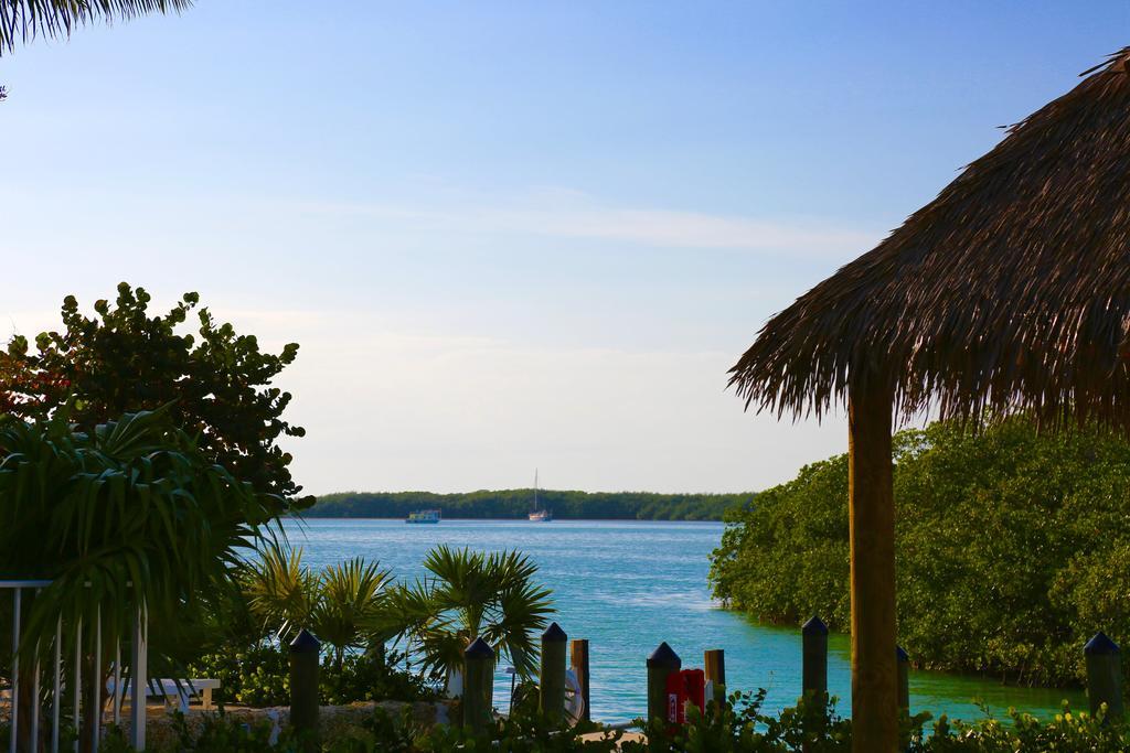 Little Basin Villas Islamorada Dış mekan fotoğraf